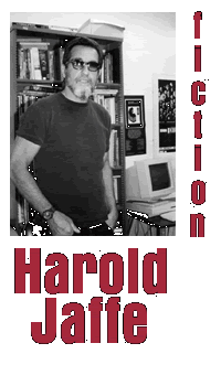 Harold Jaffe's fiction